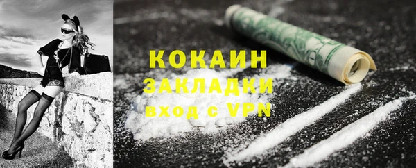 шишки Балахна