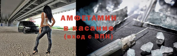 твердый Аркадак